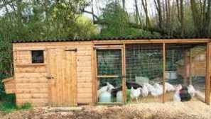 Výstavba sytiče pro brojlery s vlastními rukama